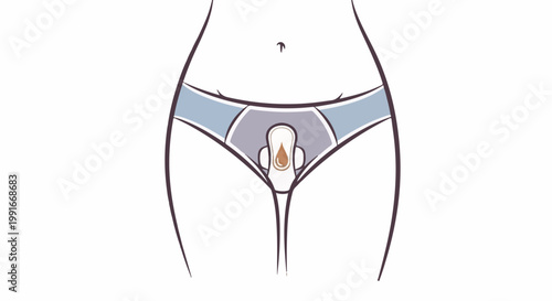 Anatomical illustration of female underwear with a sanitary pad