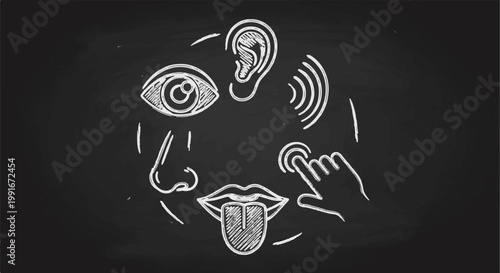 Chalkboard sketch of five senses sight, hearing, smell, taste, and touch