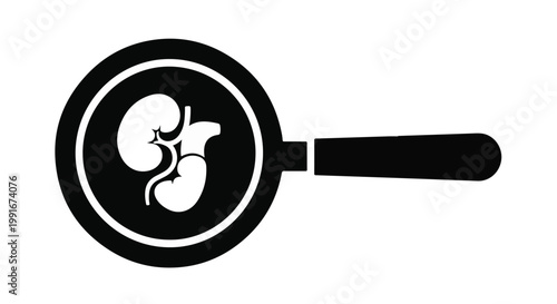 Silhouette of human kidneys under a magnifying glass for medical diagnosis.