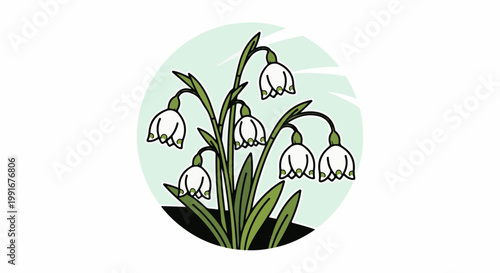 Bunch of white bell-shaped flowers with green centers bloom