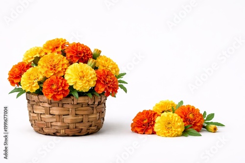 Akshaya Tritiya closeup of marigold flowers in wicker basket with copy space for festive Hindu copy space banner and Diwali postcard