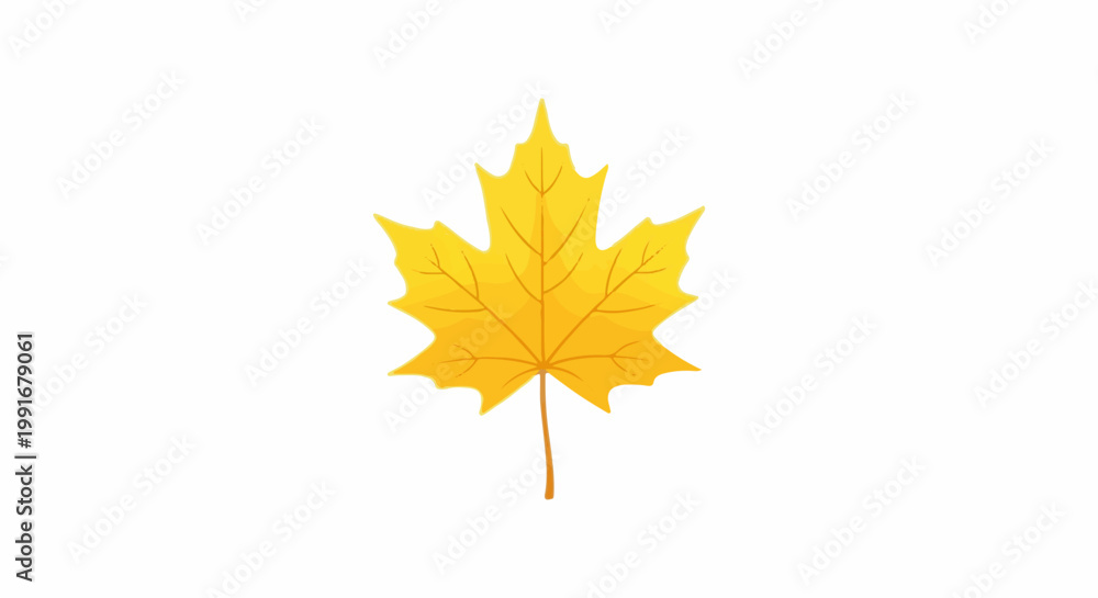 Fototapeta premium Autumn leaf with distinct veins, isolated on white