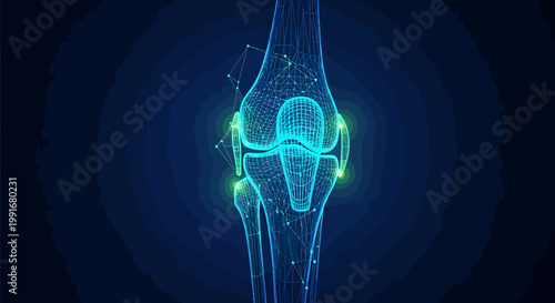 Human Knee Joint Anatomy Medical.
