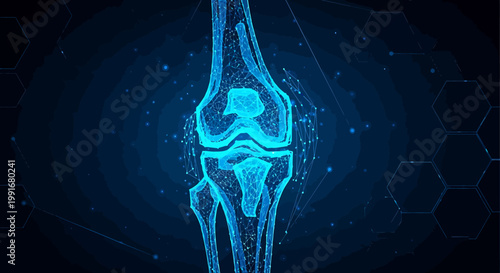 Human Knee Joint Anatomy Medical.
