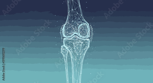 Human knee joint bone structure.