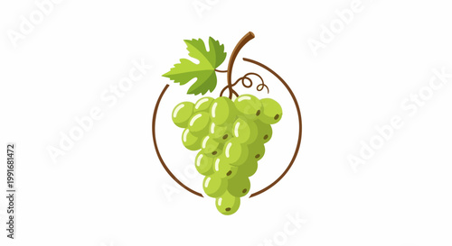 Bunch of green grapes with a leaf in a brown circle frame