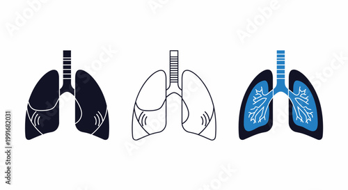 Human Lungs Anatomy Icon Set Three Styles - Solid Outline Flat Color Blue Navy Medical Respiratory Vector
