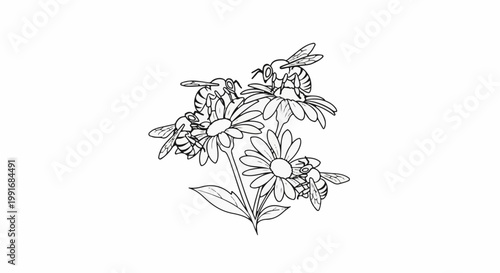 Bees gathering nectar from daisies in a whimsical line drawing