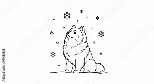 Fluffy dog sits watching snowflakes fall