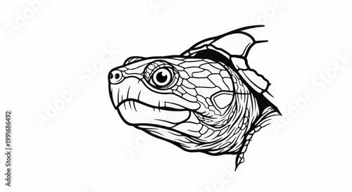 Detailed black and white line drawing of a turtle's head with intricate scale patterns