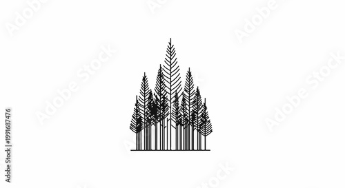 A minimalist illustration of a dense forest with stylized coniferous trees