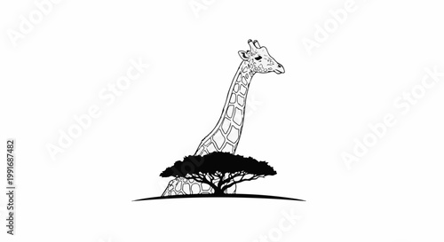 Stylized giraffe head and neck emerge from an acacia tree silhouette