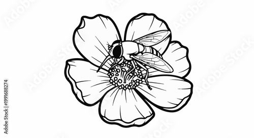 Black and white illustration of a bee on a flower