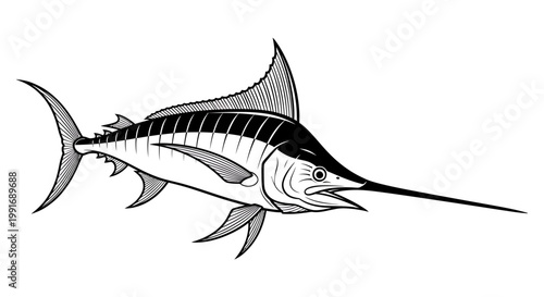 Large Sailfish Swimming in Ocean Water.