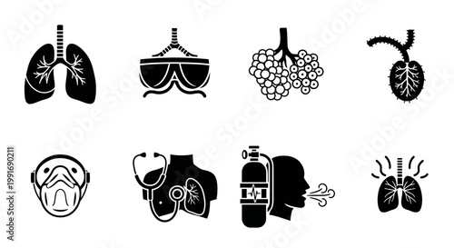 Medical Illustrations of Human Lungs and Respiratory System Anatomy.