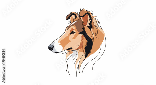 Stylized portrait of a collie dog with flowing mane against white background