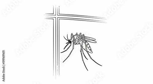 Stylized line drawing of a mosquito on a window pane