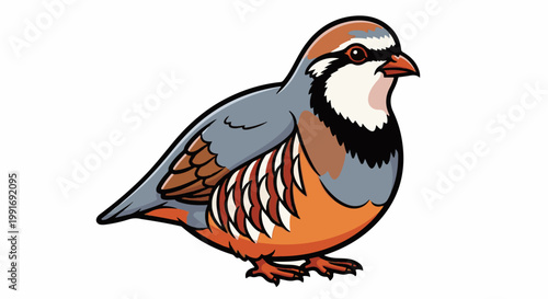 Stylized cartoon of a game bird with gray, orange, and brown plumage