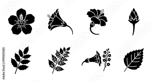 Hibiscus flower black silhouette vector set, tropical floral blossom icons, exotic plant leaves and buds collection, botanical garden elements