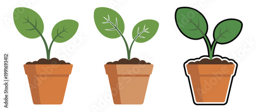 Plant Growth Stages Vector Infographic, Seed, Sprout, Seedling, and Flower Development Illustration, Botanical Lifecycle Diagram for Education, Gardening, Agriculture, and Nature Design