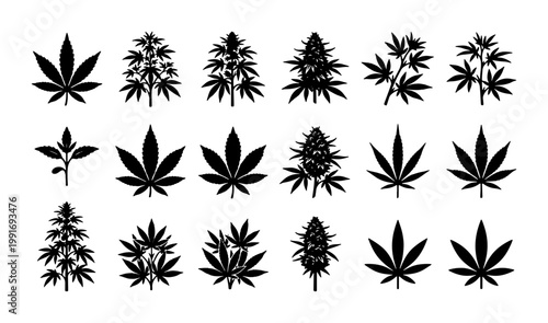 Cannabis leaf silhouette collection, 18 marijuana plant icons set, black hemp foliage vector graphics, medicinal weed and sativa botanical elements