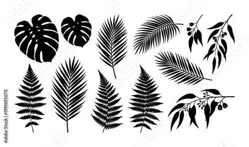 Tropical leaf silhouettes set, black palm and monstera foliage vector icons, 11 botanical fern and eucalyptus branch elements for summer design
