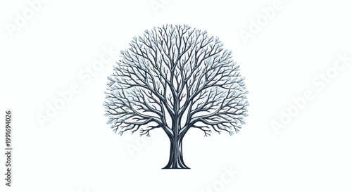 Stylized drawing of a bare, winter tree with intricate branches dusted with snow