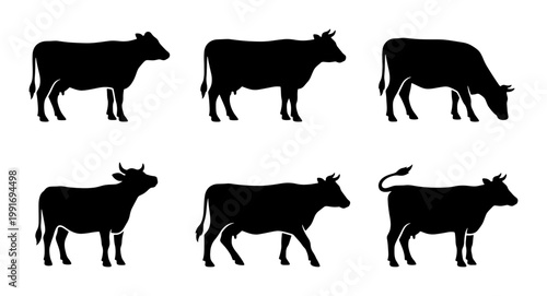 Black cow silhouette collection, set of 6 farm animal vector icons, cattle grazing and standing profiles, livestock silhouettes for dairy and meat industry