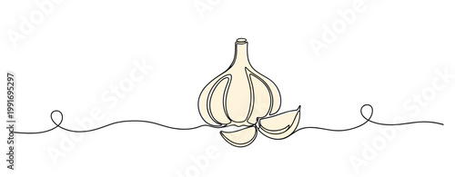 Garlic bulb with cloves depicted in continuous line illustration. no editable strokes