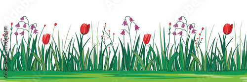 Seamless Spring Summer Grass Border with Meadow Plants Silhouette, Horizontal Nature Pattern Illustration for Floral Design, Landscape Background, Eco Decoration