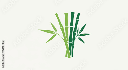 Stylized green bamboo stalks and leaves on a white background
