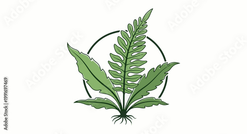 Stylized green fern fronds within a circular outline