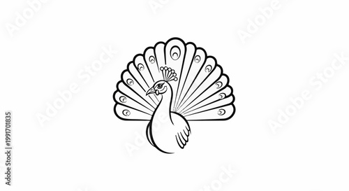 Stylized line art of a peacock displaying its fanned tail feathers