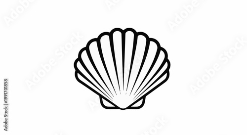 Stylized line art of a single seashell, black on white background