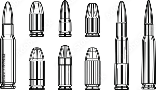 A collection of firearm ammunition detailed illustration of various cartridges and bullets