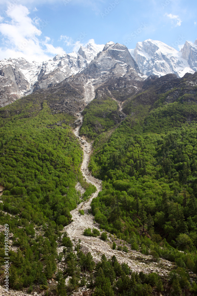 Fototapeta premium mountain river in the himalayas