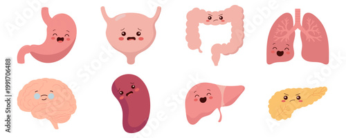 Cute Kawaii Human Internal Organs Set