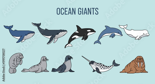 Illustration of ten marine mammals titled OCEAN GIANTS on a light blue background