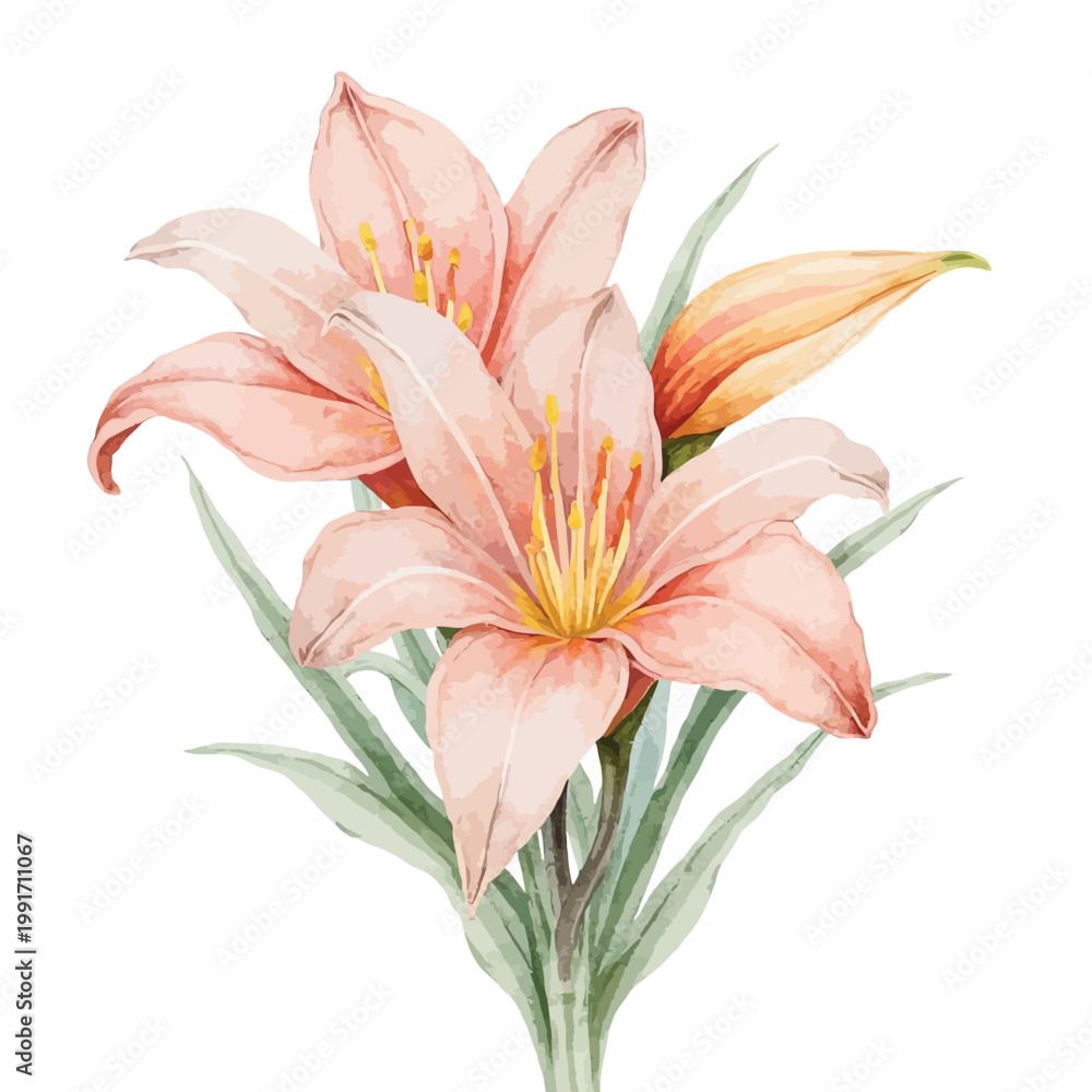 Fototapeta premium Pink lilies bouquet watercolor floral arrangement