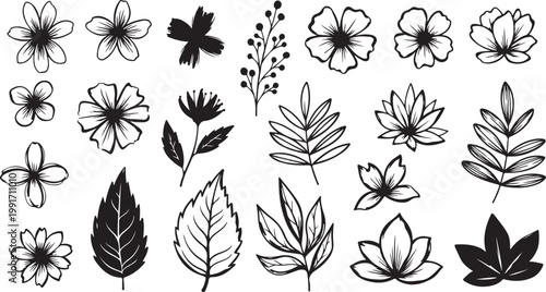 Abstract vector flowers and leaves drawn with ink brush. Black plant elements isolated on white background