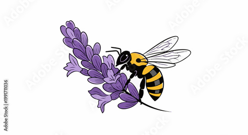 A bee gathers nectar from a vibrant purple lavender bloom in this stylized illustration