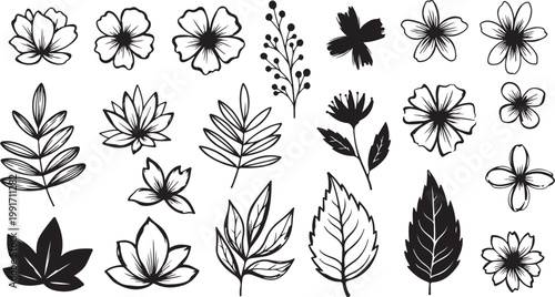 Abstract vector flowers and leaves drawn with ink brush. Black plant elements isolated on white background