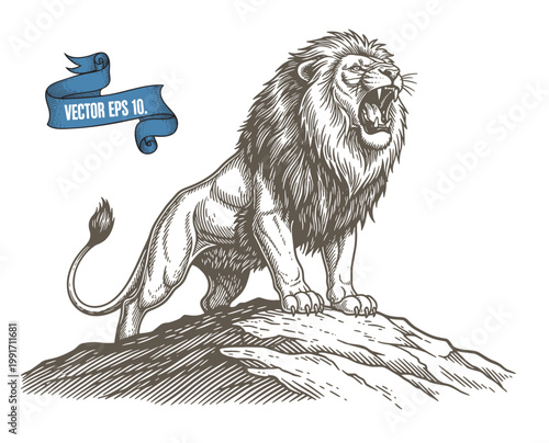 Fotografija Lion on rocky outcrop with open mouth roar