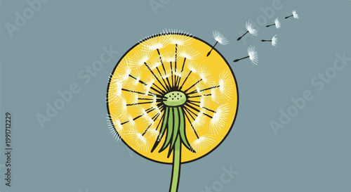 A bright yellow dandelion seed head with white fluff dispersing in the wind