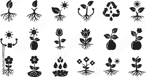 Black and white plant growth icons set