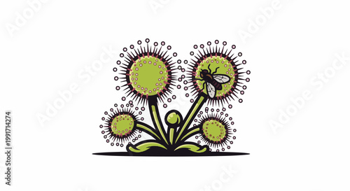 A cartoon sundew plant with a fly caught in its sticky tentacles