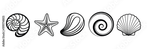 Sea Shells Flat Vector Illustration Set, Marine Ocean Elements Collection with Minimal Design, Isolated on White Background for Beach Theme, Summer Graphics, and Coastal Decoration