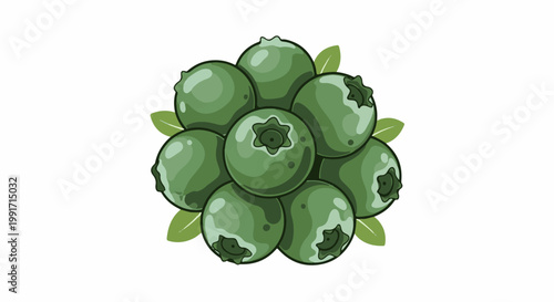A cluster of green blueberries with small leaves, isolated on a white background