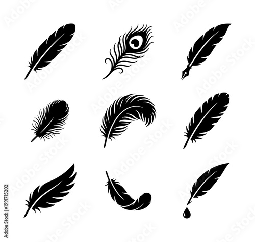 Vintage feather silhouettes and quill pen icons, set of 9 black bird plumage vector illustrations, elegant peacock and ink nib graphics