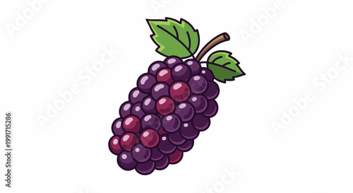 A cluster of ripe, dark purple grapes with a stem and two green leaves